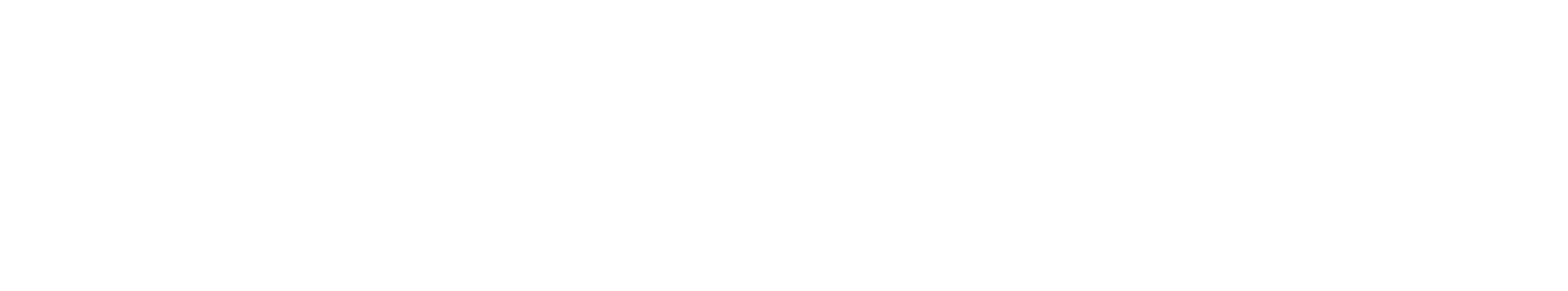 DARVIQS INC